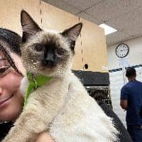 Sitter Profile Image: Lisa R.