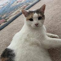 Sitter Profile Image: Alexis R.