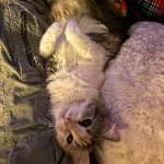 Sitter Profile Image: marissa d.