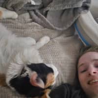 Sitter Profile Image: Elizabeth H.