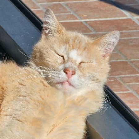 Sitter Profile Image: Marie W.