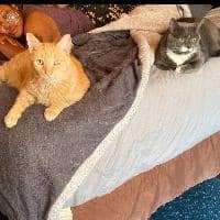 Sitter Profile Image: Tamikia S.