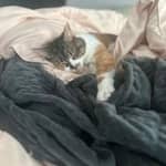 Sitter Profile Image: Amanda S.