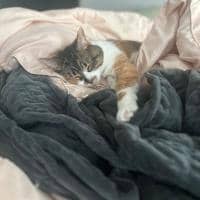 Sitter Profile Image: Amanda S.