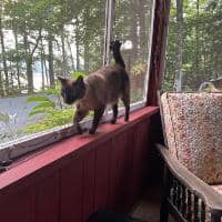 Sitter Profile Image: Jessica M.