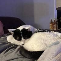 Sitter Profile Image: Alyssa B.