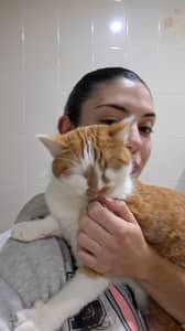 Sitter Profile Image: Marina R.