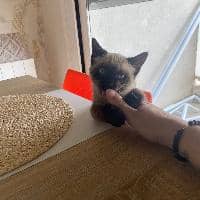 Sitter Profile Image: Maider C.