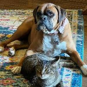 Sitter Profile Image: Megan R.