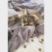 Sitter Profile Image: Naomy G.