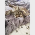 Sitter Profile Image: Naomy G.