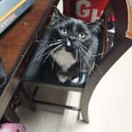 Sitter Profile Image: Stephanie F.