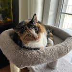 Sitter Profile Image: Brianna F.