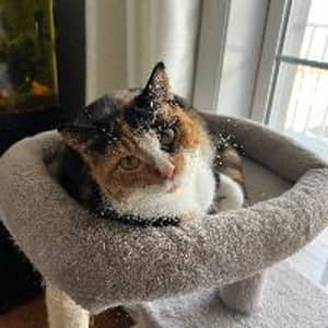 Sitter Profile Image: Brianna F.