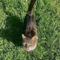 Sitter Profile Image: Charline L.