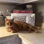 Sitter Profile Image: Jenna W.