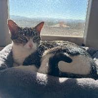 Sitter Profile Image: Mireya M.