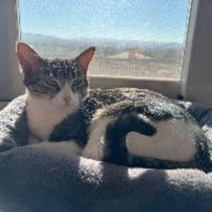 Sitter Profile Image: Mireya M.