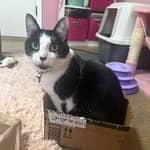 Sitter Profile Image: Alexandra G.