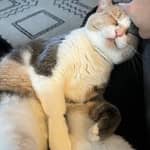 Sitter Profile Image: Jessica B.