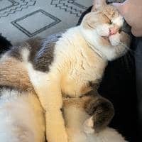 Sitter Profile Image: Jessica B.