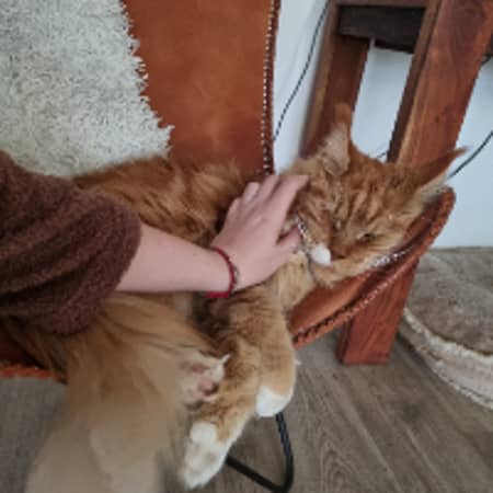 Sitter Profile Image: Melissa M.