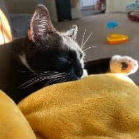 Sitter Profile Image: Destiny A.