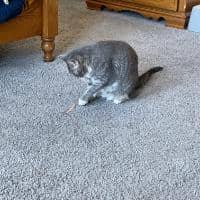 Sitterprofilbild: Johannah M.