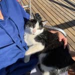 Sitter Profile Image: Louane L.