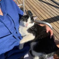 Sitter Profile Image: Louane L.