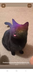 Sitter Profile Image: Maria G.