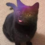 Sitter Profile Image: Maria G.