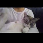 Sitter Profile Image: Juan Diego C.