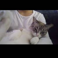 Sitter Profile Image: Juan Diego C.