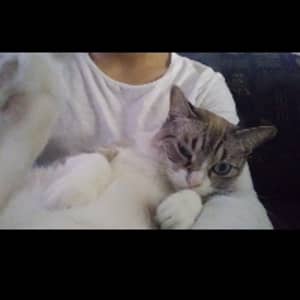 Sitter Profile Image: Juan Diego C.