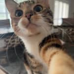 Sitter Profile Image: Madison L.