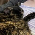 Sitter Profile Image: Eden H.