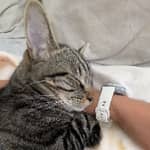 Sitter Profile Image: Tara R.