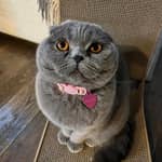 Sitter Profile Image: Haley & Alex Z.