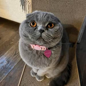 Sitter Profile Image: Haley & Alex Z.