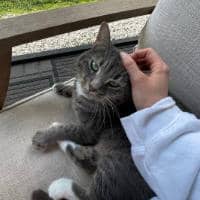 Sitter Profile Image: Erin W.