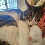 Sitter Profile Image: Trudy T.