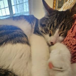 Sitter Profile Image: Trudy T.