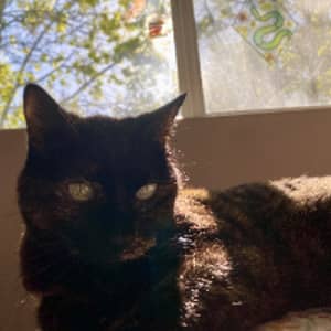 Sitter Profile Image: Shyla T.