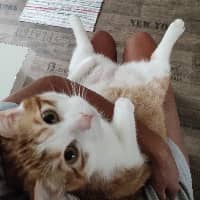 Sitter Profile Image: Ilaria C.