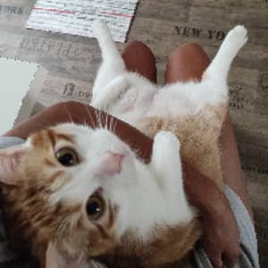 Sitter Profile Image: Ilaria C.