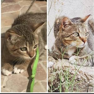 Sitter Profile Image: Asun G.