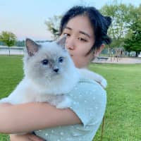 Sitter Profile Image: xinlu w.