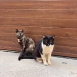 Sitter Profile Image: Paula B.