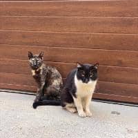 Sitter Profile Image: Paula B.